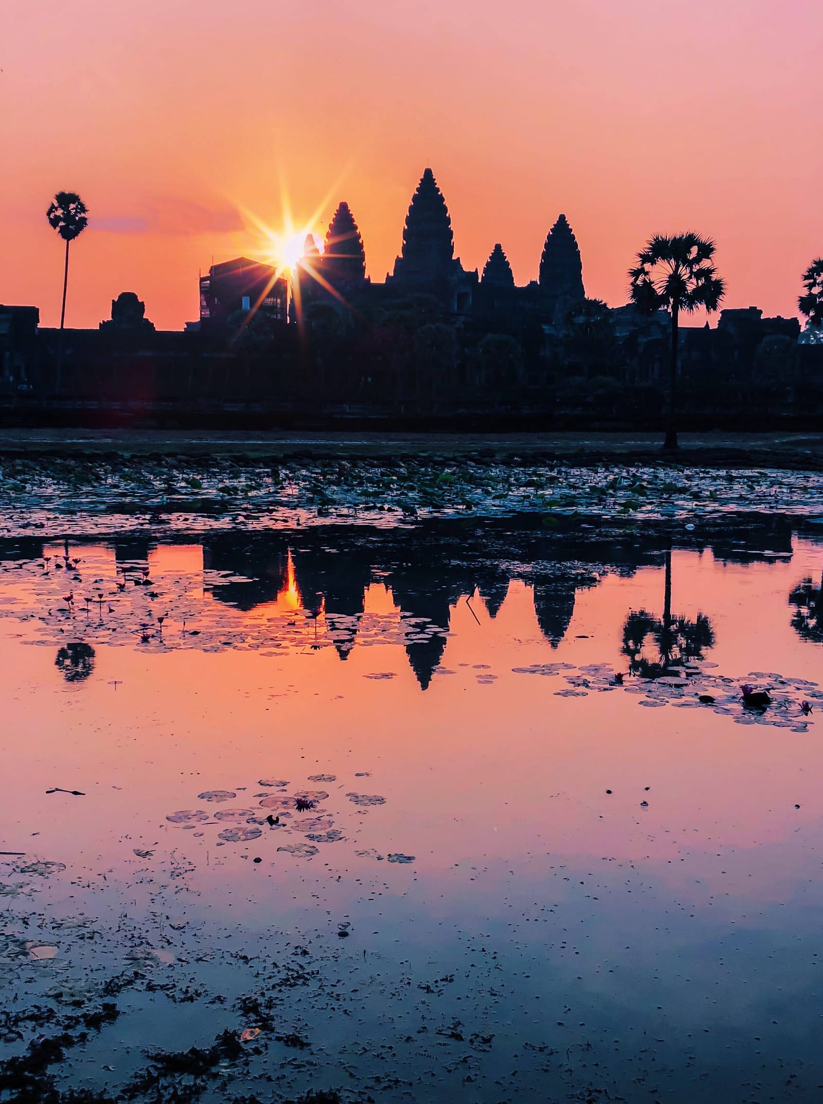 Angkor Wat's five towers at sunrise, across the reflecting pool