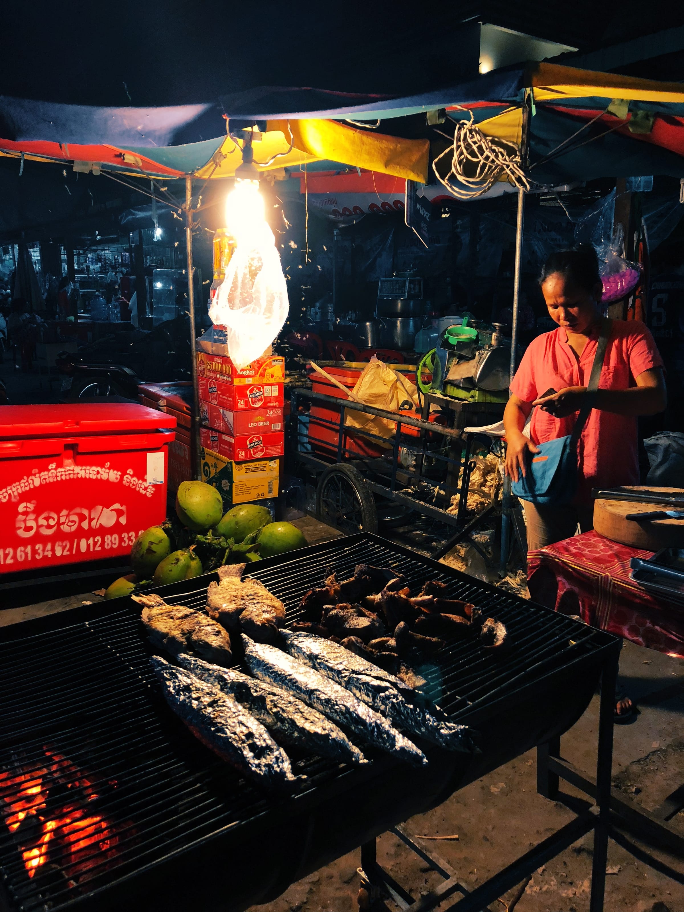 The Cambodian night market