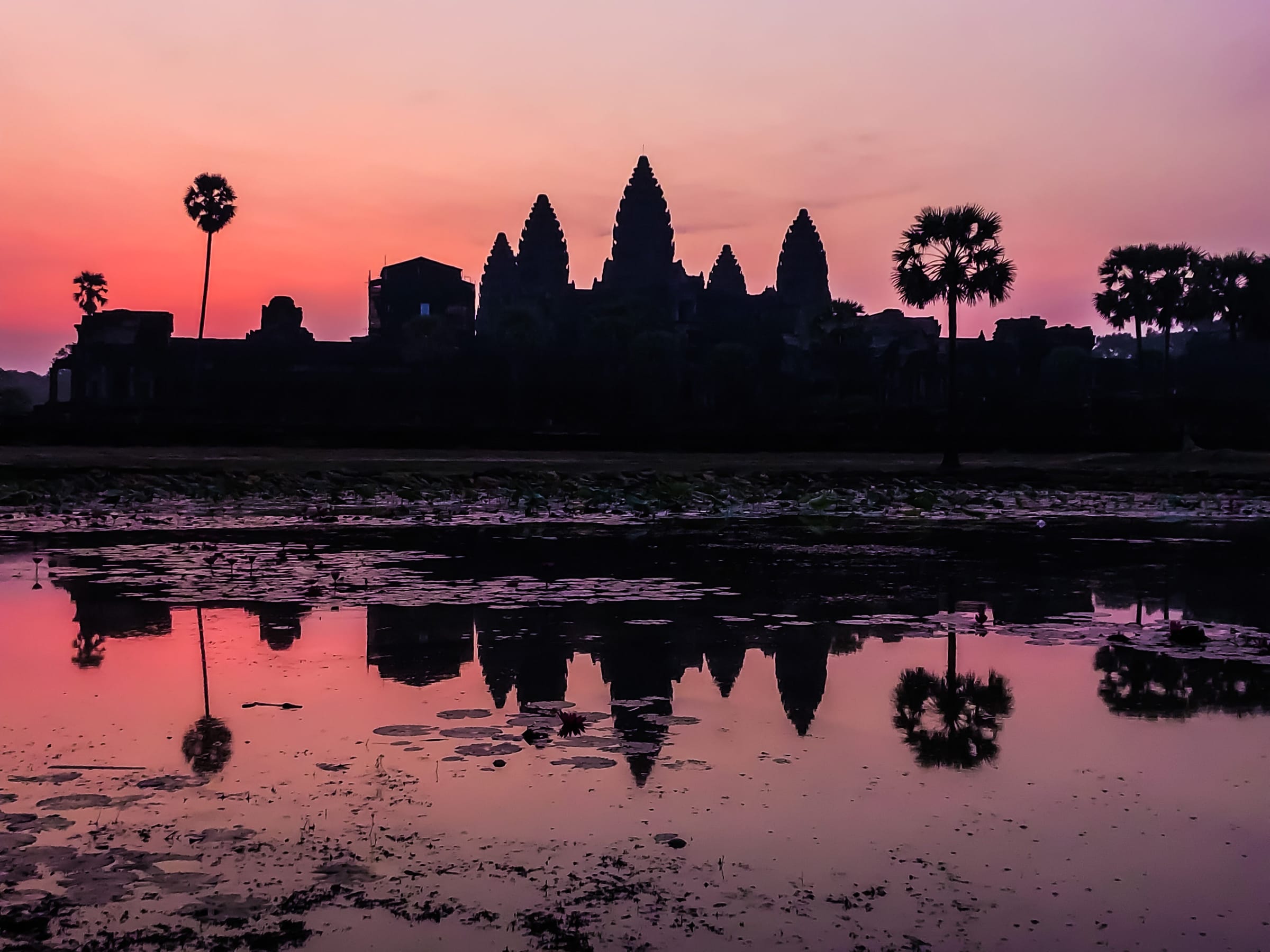 Angkor Wat at dawn, reflected in the lotus pool