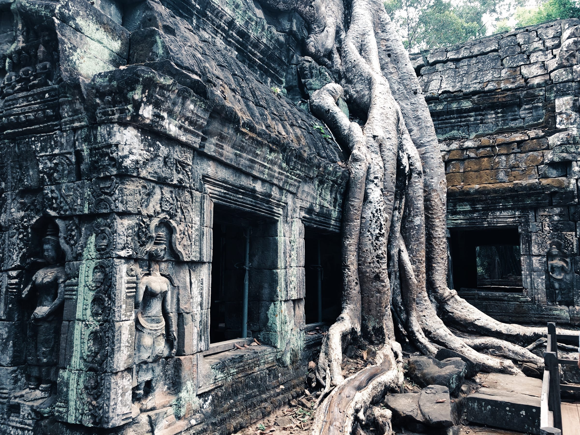 An apsara carving beside enormous tree roots